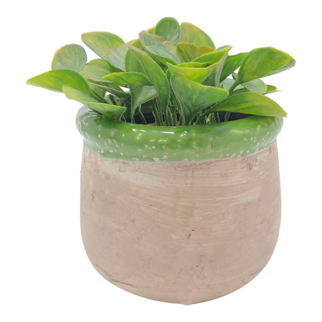 Pot Rustico Verde - pack of 2