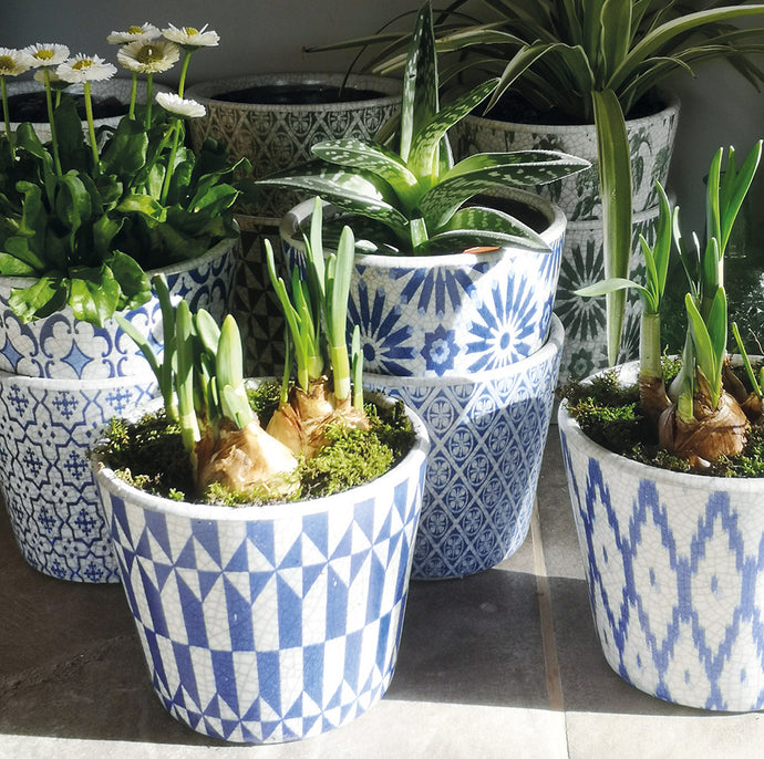 Arta Indigo Plant Pot (pack of 4 assorted)