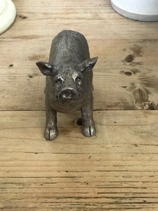 Pewter Finish Pig